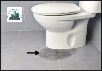 Toilet Leaking